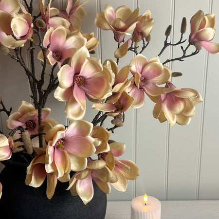 Pale blush apricot magnolia stem bunch 85cm