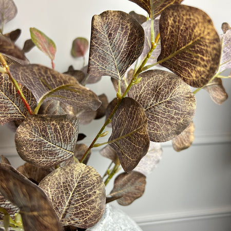 Single Burgundy Dollar Eucalyptus Stem 72cm