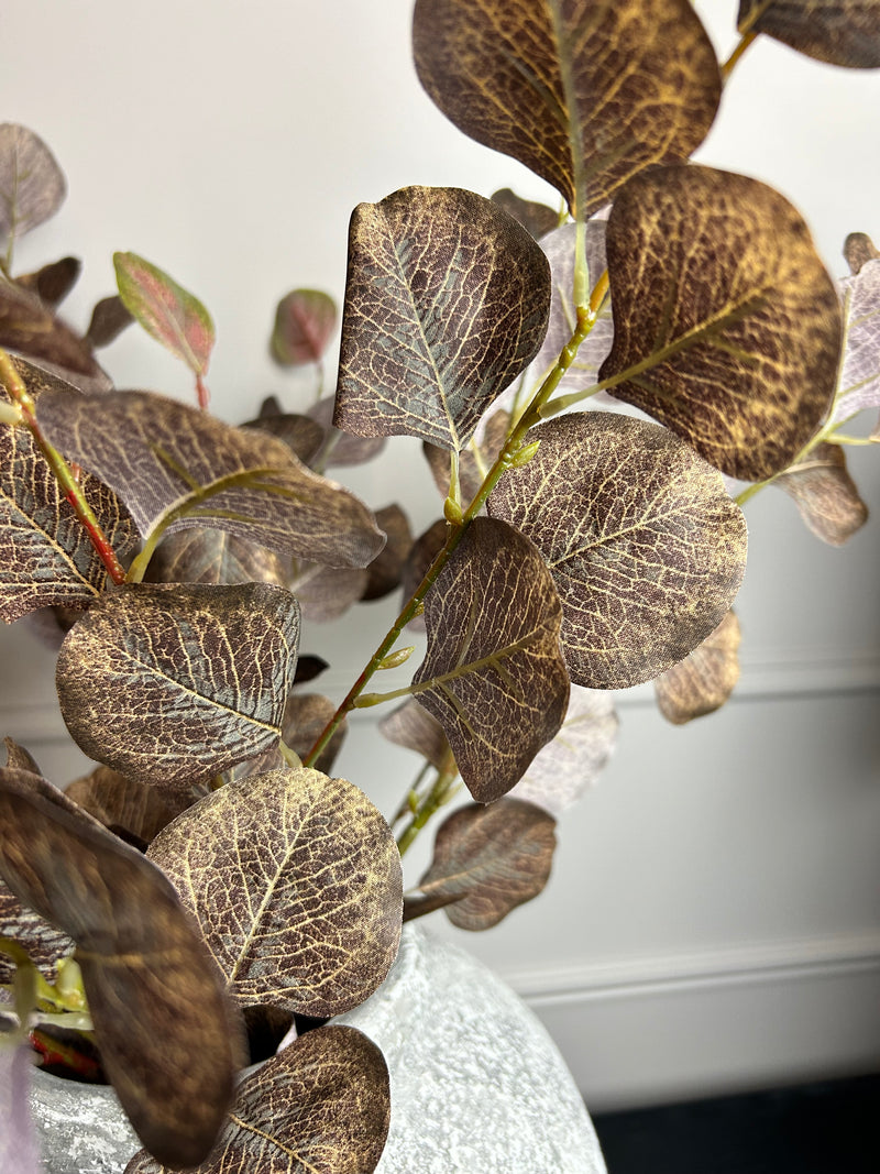 Single Burgundy Dollar Eucalyptus Stem 72cm