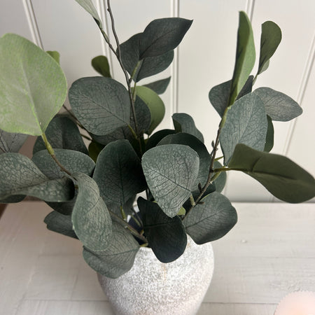 Eucalyptus dollar bunch small 42cm tall