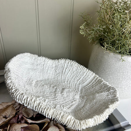 White Textured Coral Shell Dish 20cm