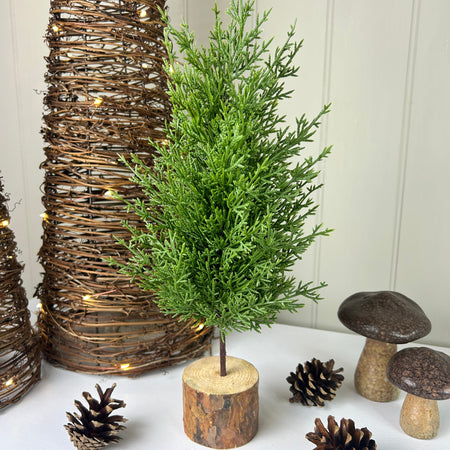 Green Fir Tree on Log Base