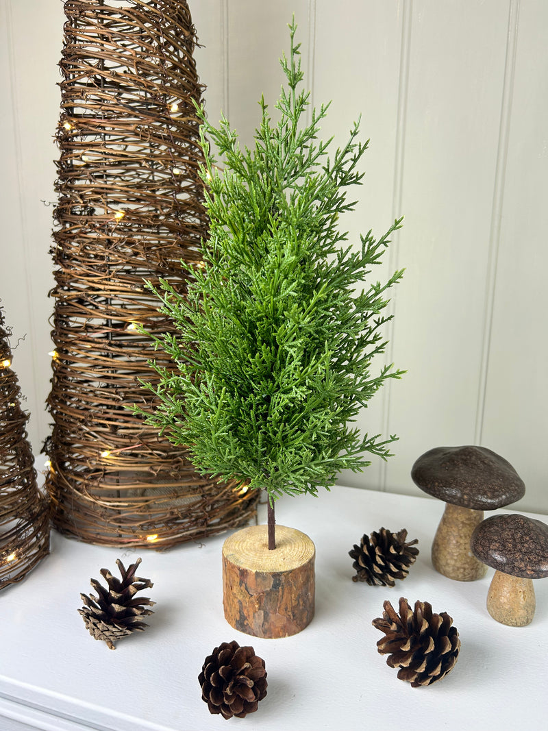 Green Fir Tree on Log Base