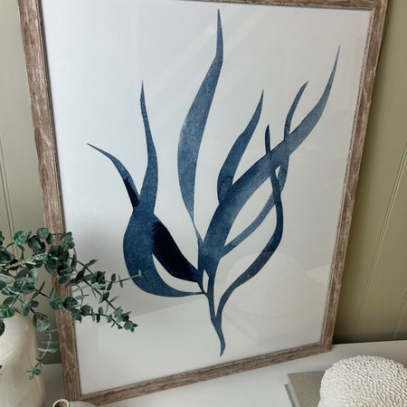Blue wood framed coral seaweed pictures art 3 styles