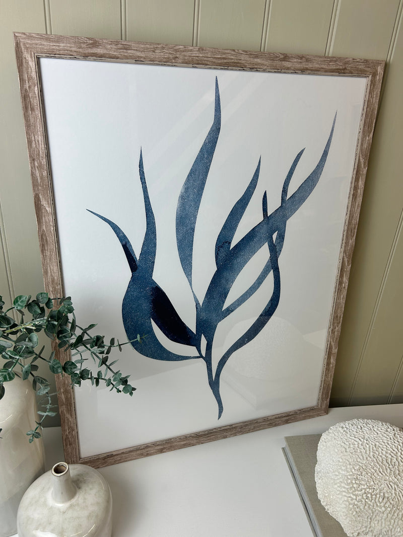 Blue wood framed coral seaweed pictures art 3 styles
