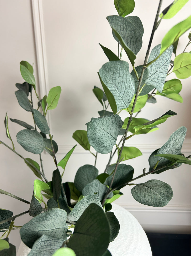 Single stem natural green dollar eucalyptus 72cm