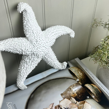 Off White coral Textured Starfish