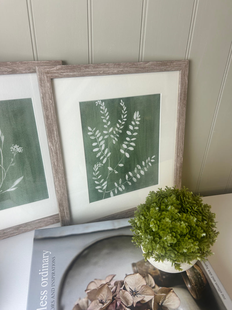 Sage green fern botanicals framed mounted glazed art work pictures 2 styles