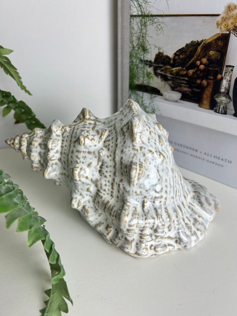 Off White Taupe Two Tone Ceramic Conch Shell