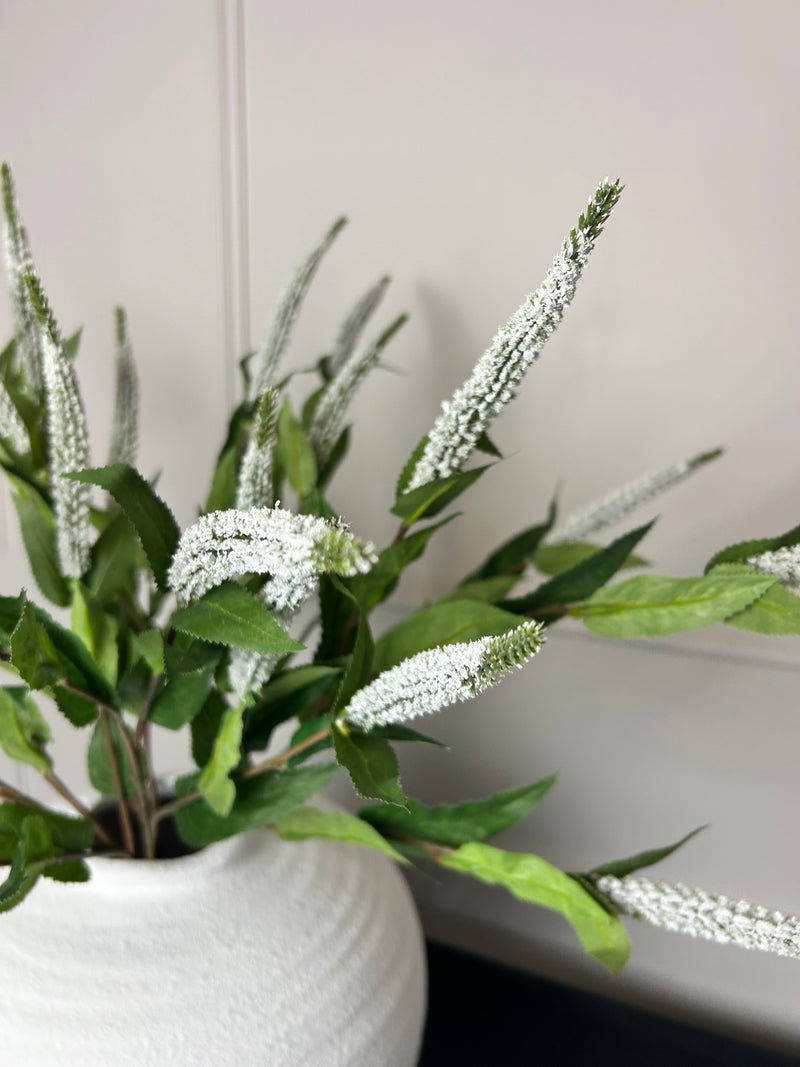 White Veronica multi stem 70cm