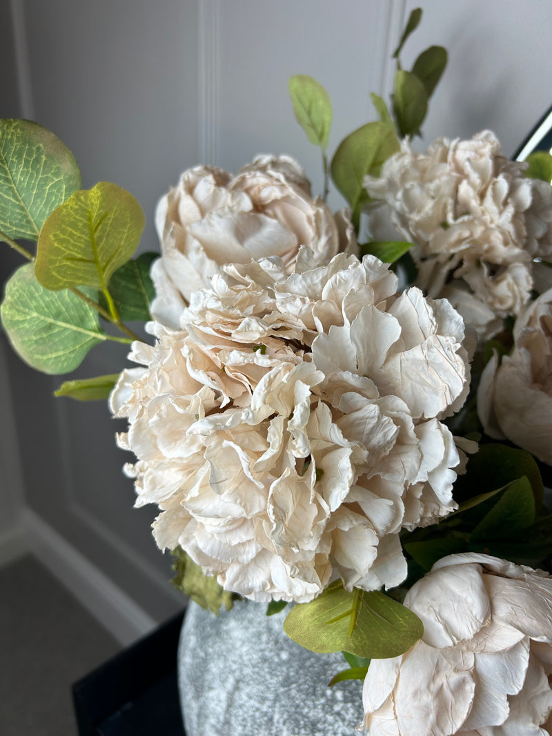 Oyster blush Ruffled Hydrangea Stem