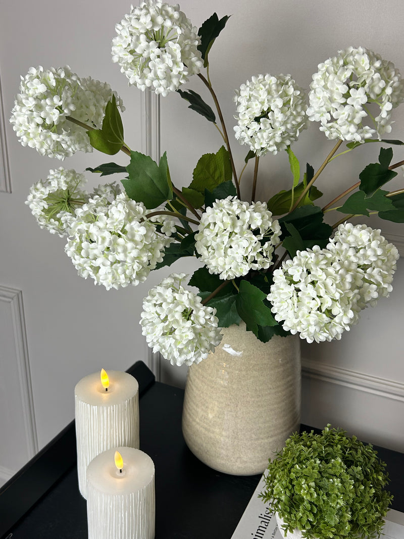 Viburnum Opulus snowball floral stem