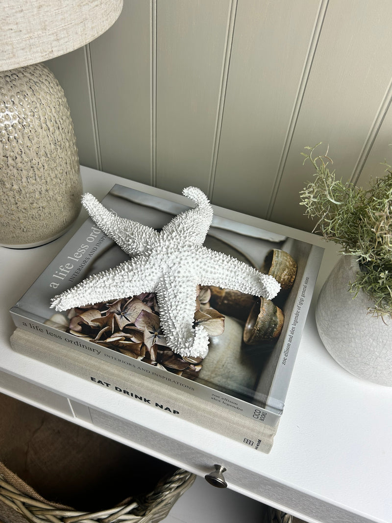 Off White coral Textured Starfish