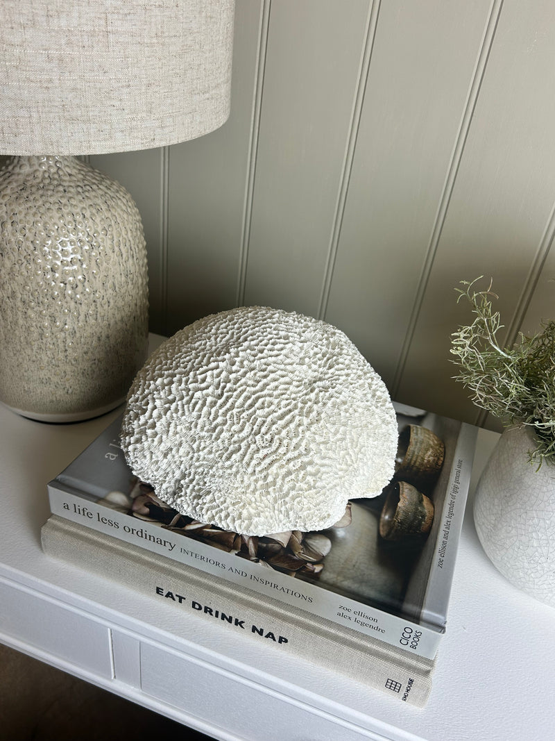 Off White Sitting round large Coral