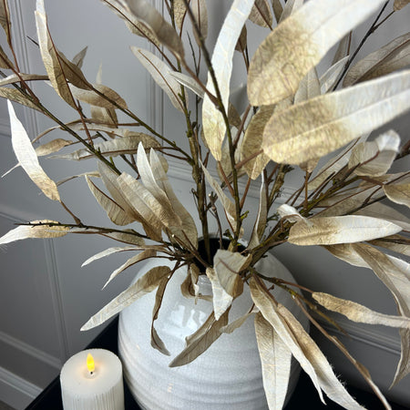 Dried touch Tall oyster slim leaf stem 90cm