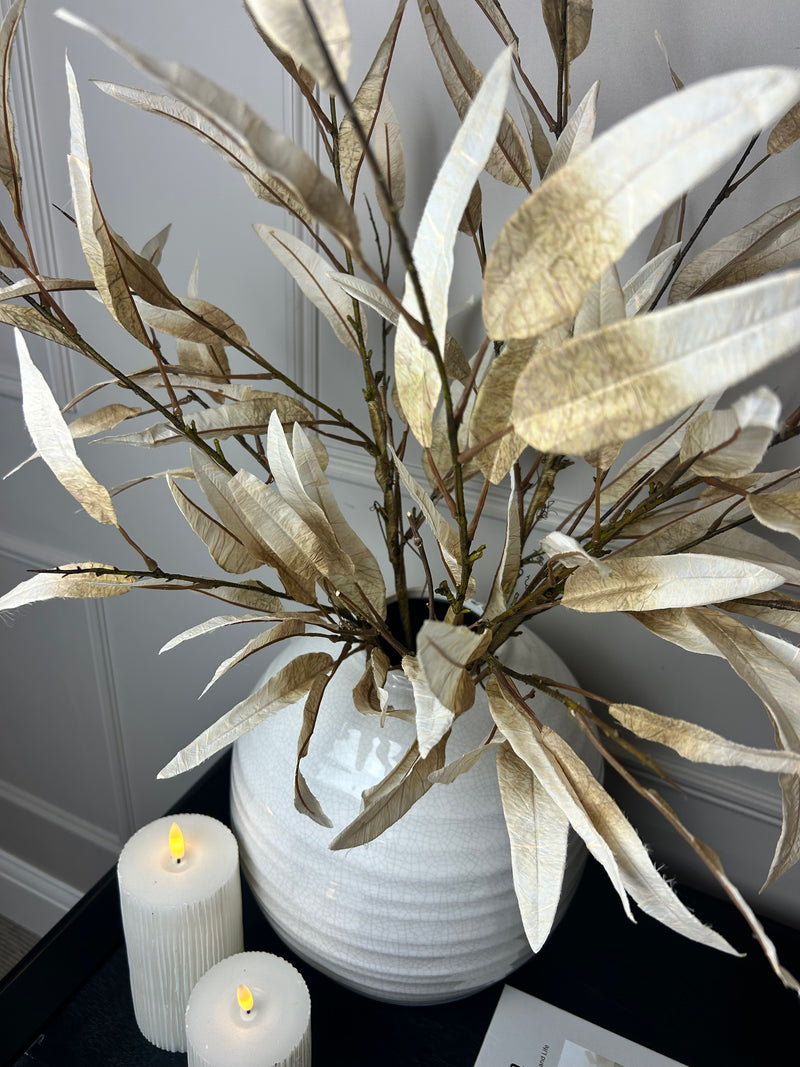Dried touch Tall oyster slim leaf stem 90cm