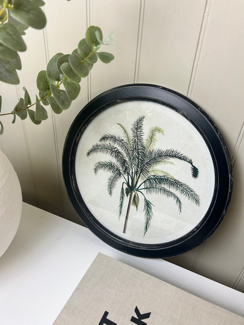 Round tree palm tree tropical print 35cm 4 styles