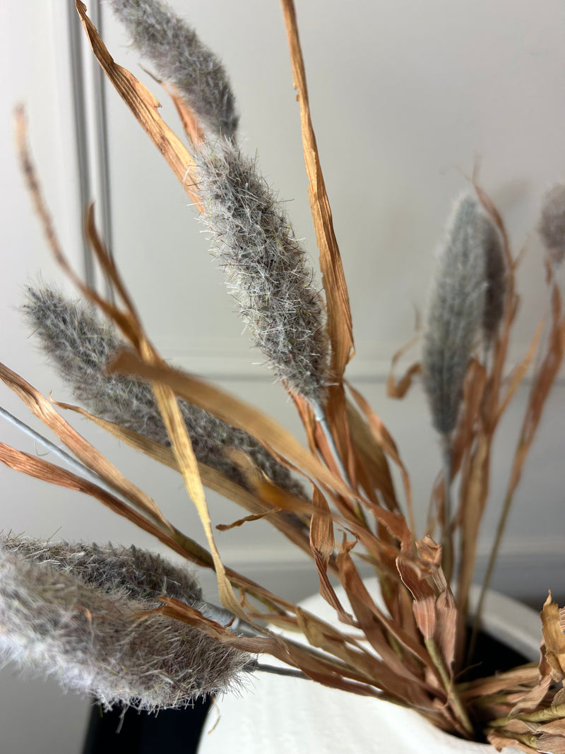 Bunny tail reed spray grey 60cm