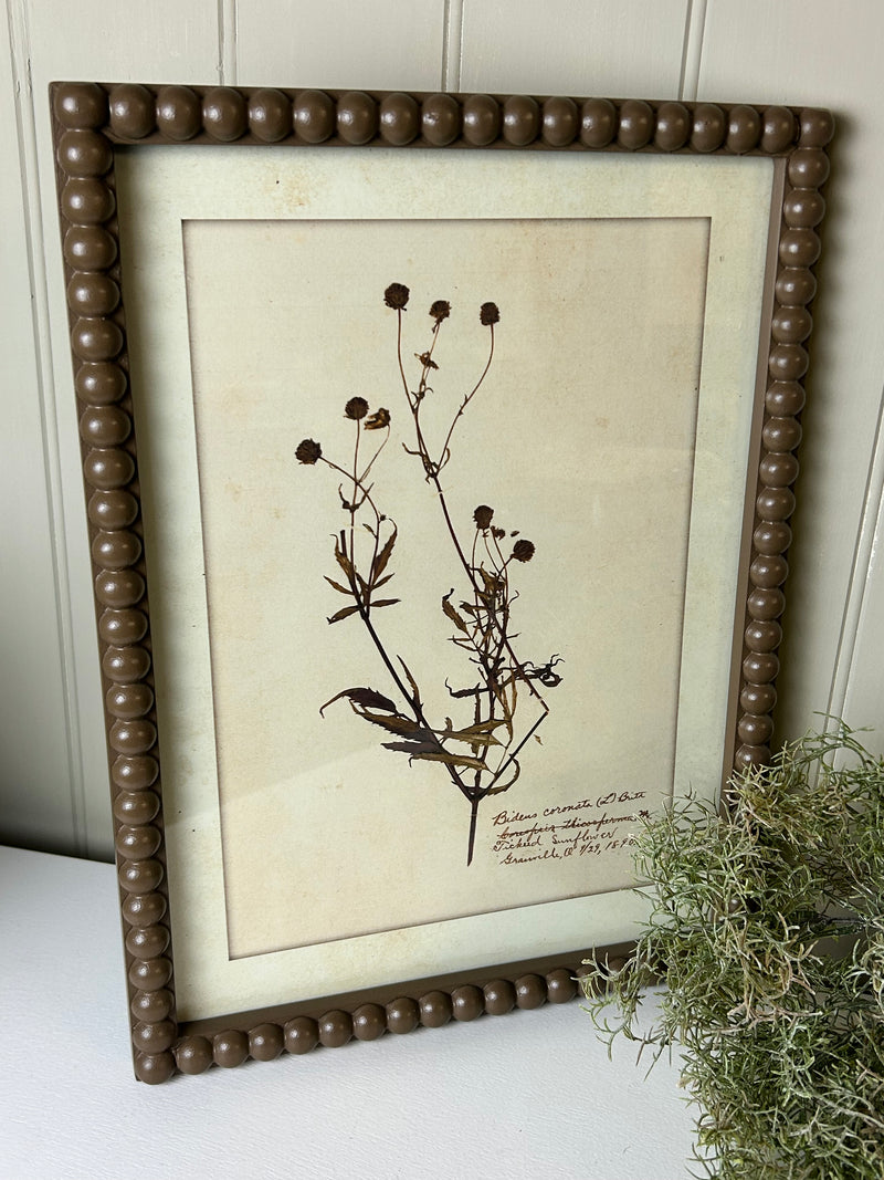 Brown bobble framed delicate floral flowers prints pictures 4 styles