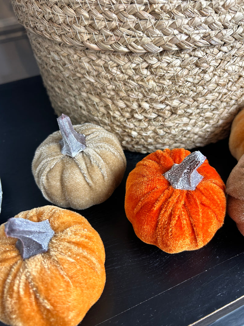 Bag of 6 autumnal pumpkins
