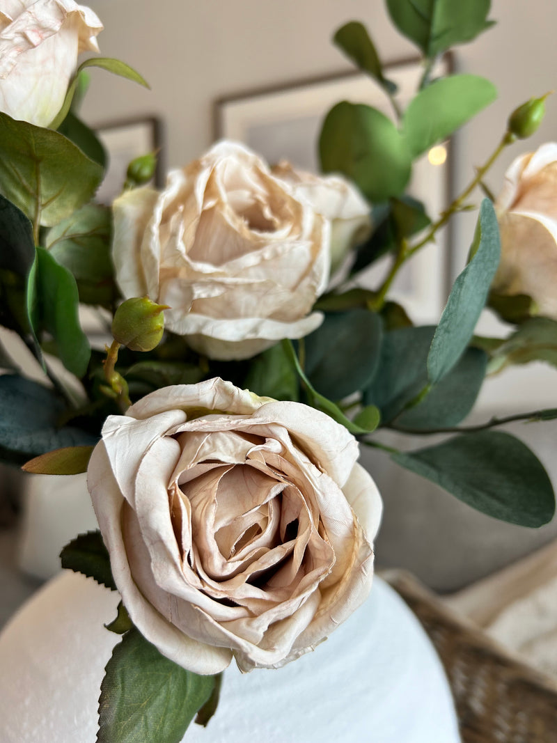 Oyster Dried Touch Single Valera Rose