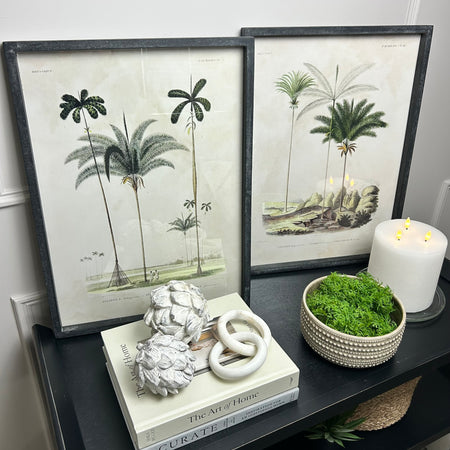 Framed palm prints 56x42cm 2 styles