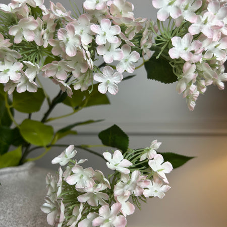 Tall baby soft pale pink Charlotte ball viburnum stem 67cm