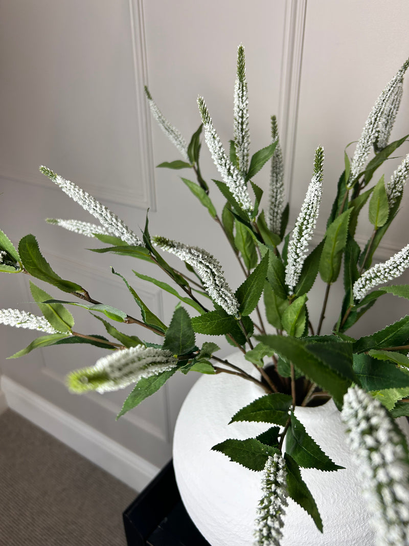 White Veronica multi stem 70cm