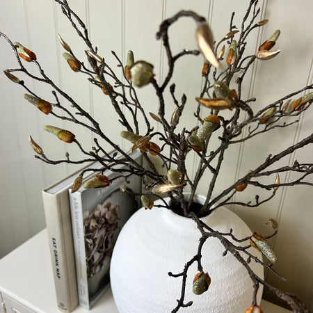 Magnolia stem Branch with gold bud