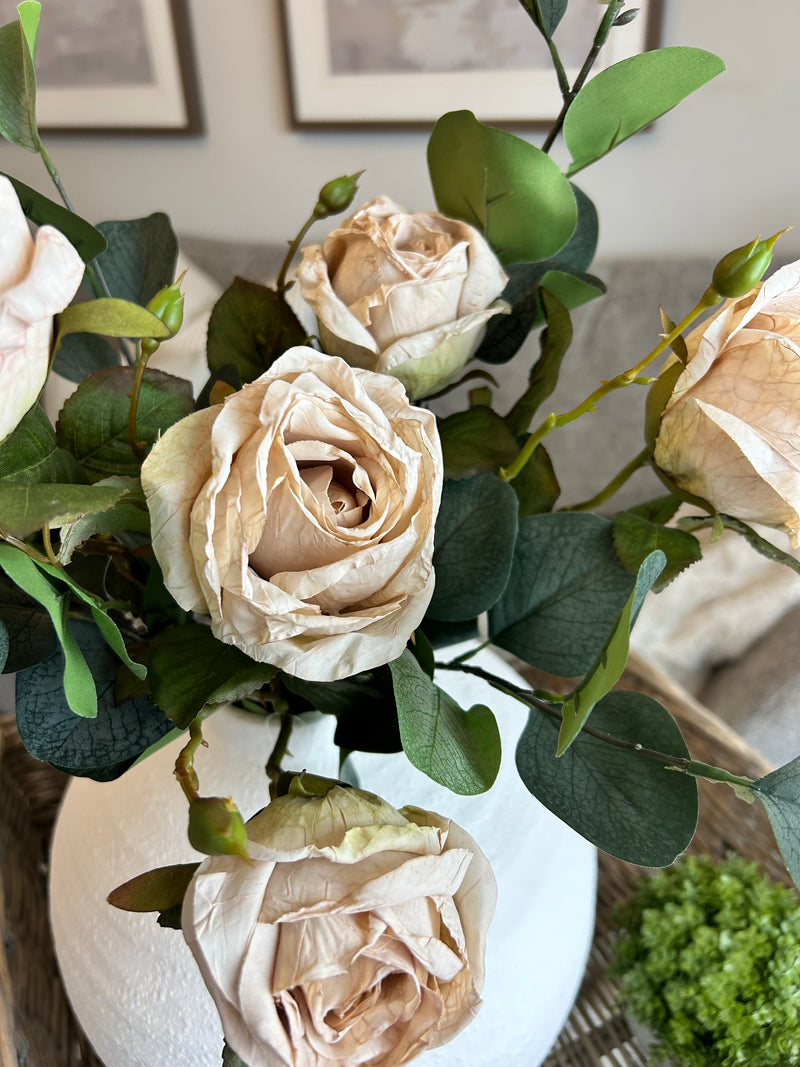 Oyster Dried Touch Single Valera Rose