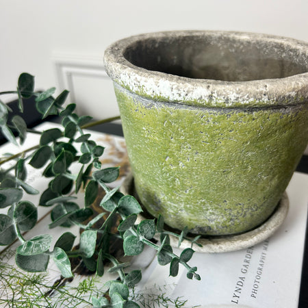 Green rustic plant pot on plate