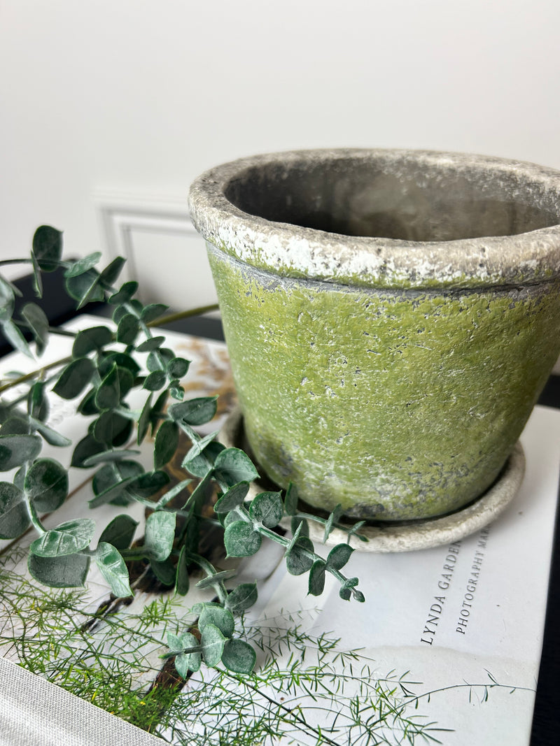 Green rustic plant pot on plate