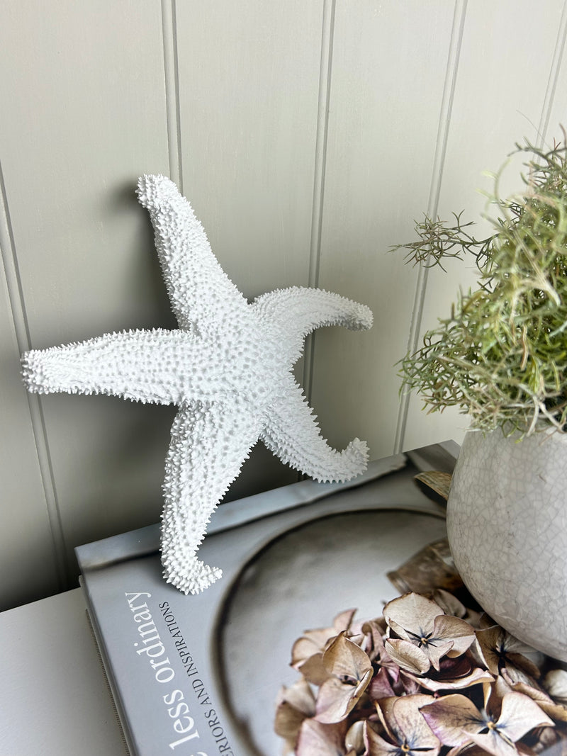 Off White coral Textured Starfish