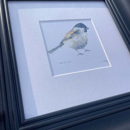 Marsh tit bird print local artist frames
