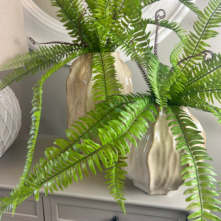 Tree fern bunch natural green pick