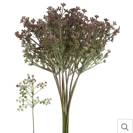 Felicity berry bunch of 10 stems purple mulberry 36cm