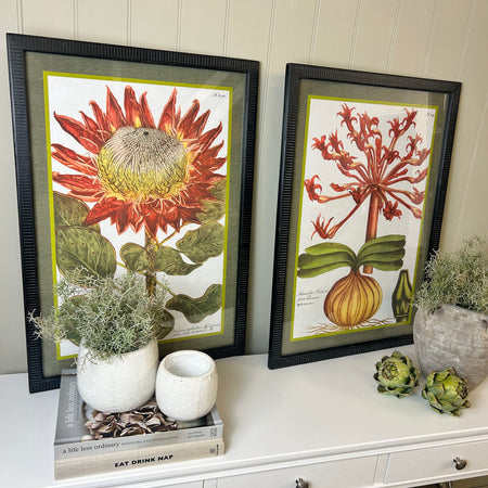 Liliaceo floral black framed glazed Prints