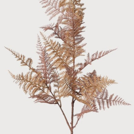 Auburn bracken fern stem bunch spray 90cm
