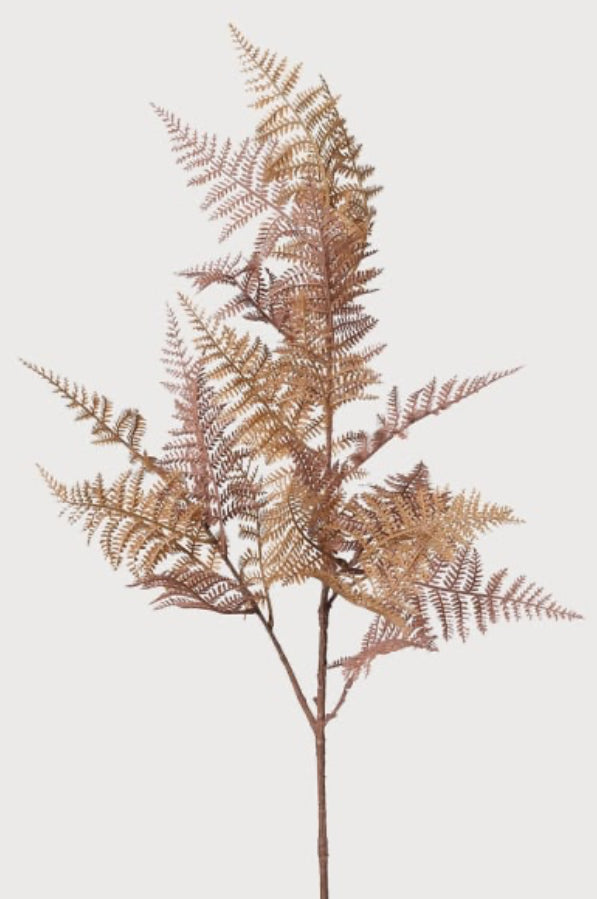 Auburn bracken fern stem bunch spray 90cm