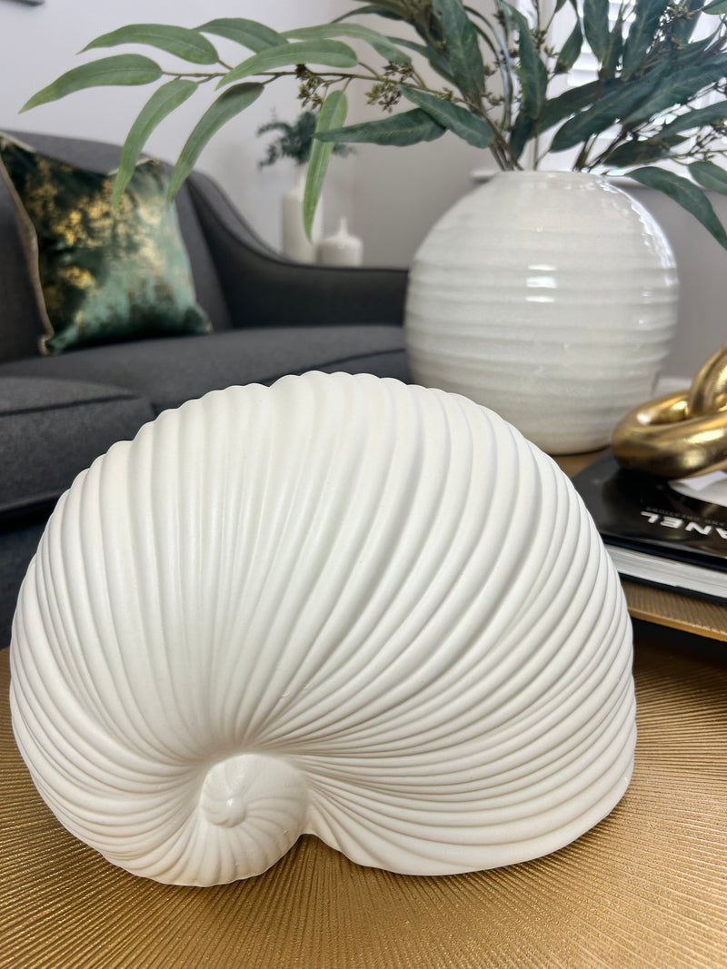 White Sea snail shell ornament