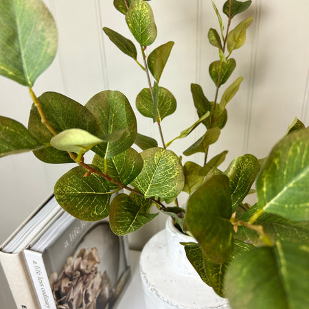 Dollar eucalyptus bunch autumn green brown tones multi stem 55cm
