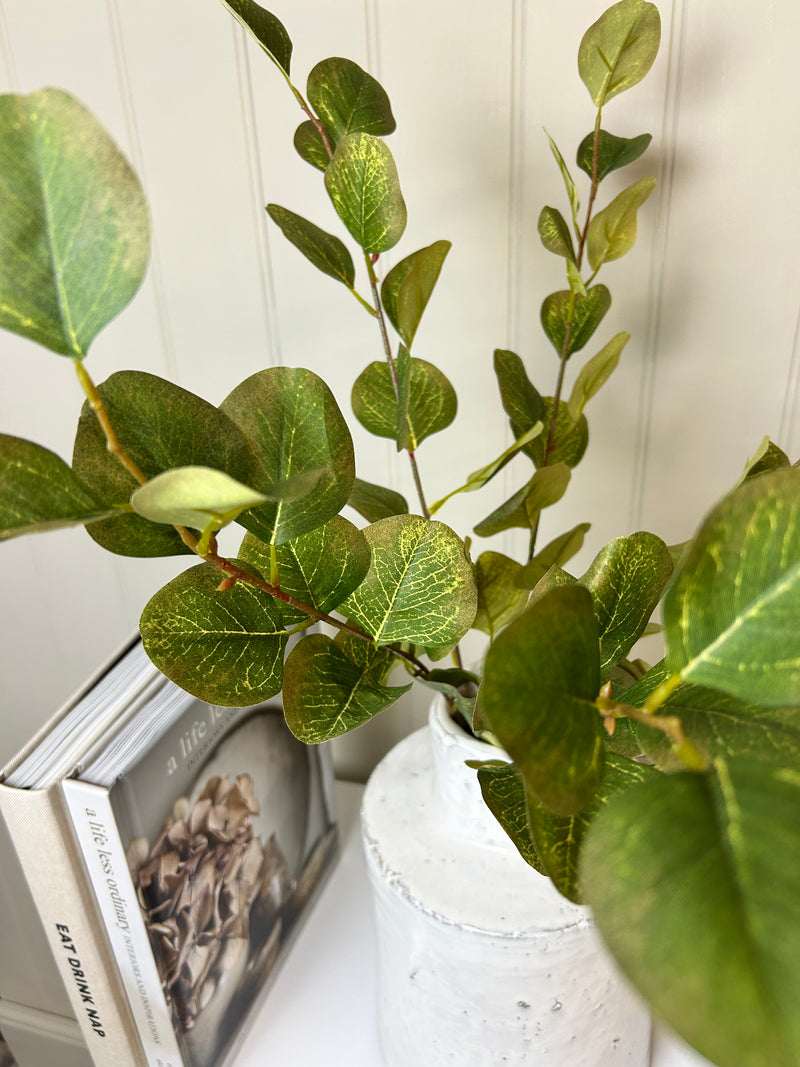 Dollar eucalyptus bunch autumn green brown tones multi stem 55cm