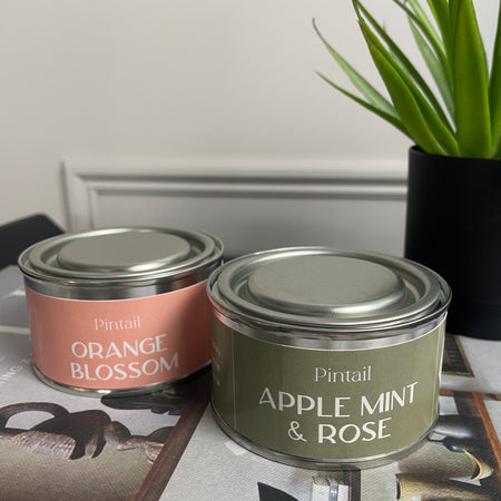 Pintail paint pot style tin candles