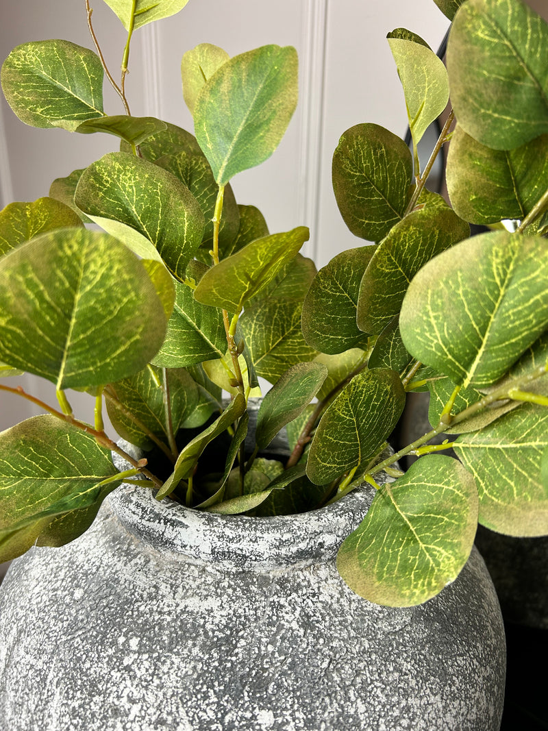 Single stem natural green & Brown dollar eucalyptus 72cm