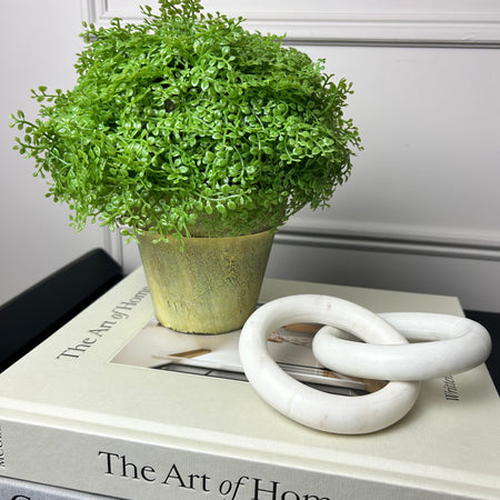Baby tears plant in cream rustic pot