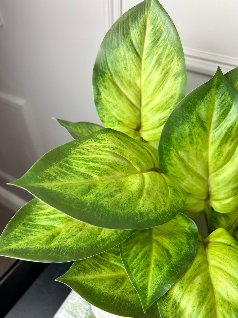 Variegated Printed Pothos Leaf Bunch pick plant