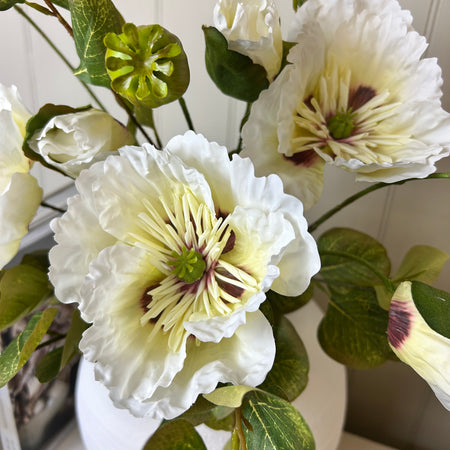White multi stem poppy bunch 57cm