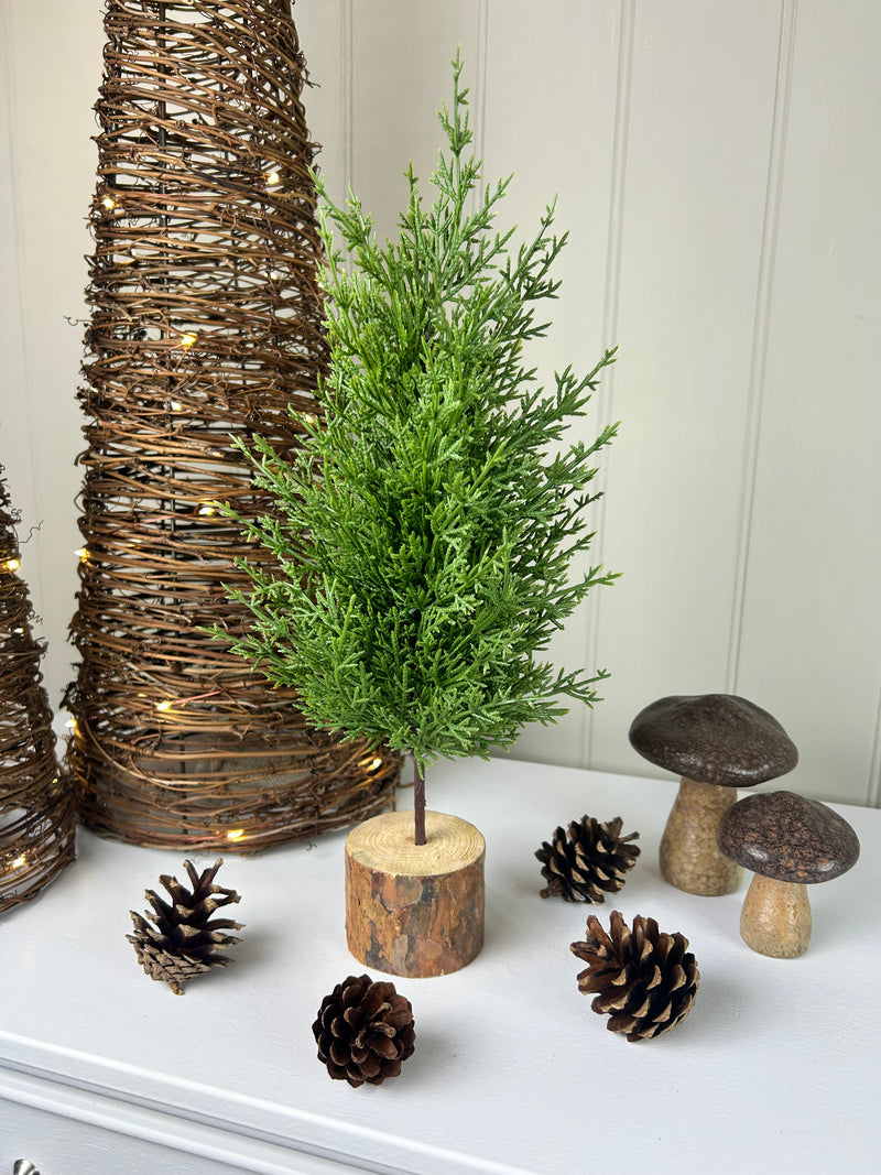Green Fir Tree on Log Base