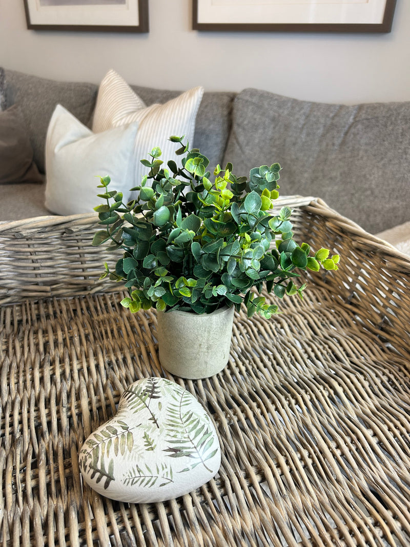 Eucalyptus Bunch in Grey stone Pot