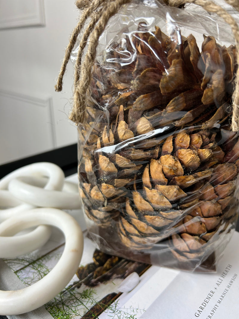 Bag of natural strobus pine cones